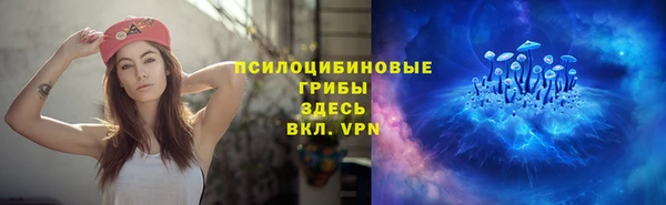прущие крисы Нефтекумск