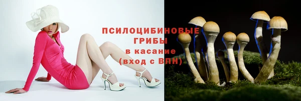 первитин Новозыбков