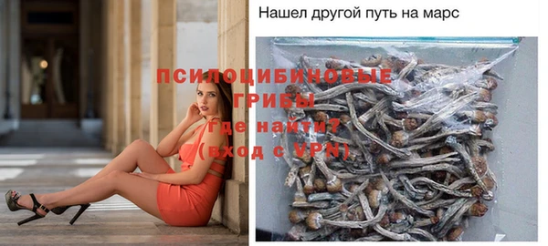 молекула духа Новокубанск