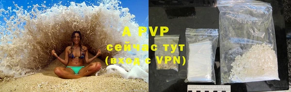 прущие крисы Нефтекумск