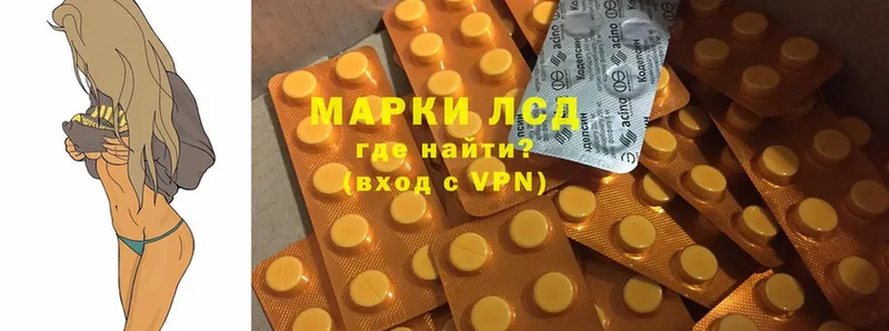 наркота  Кировград  LSD-25 экстази ecstasy 