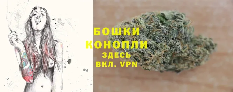 Конопля OG Kush  Кировград 